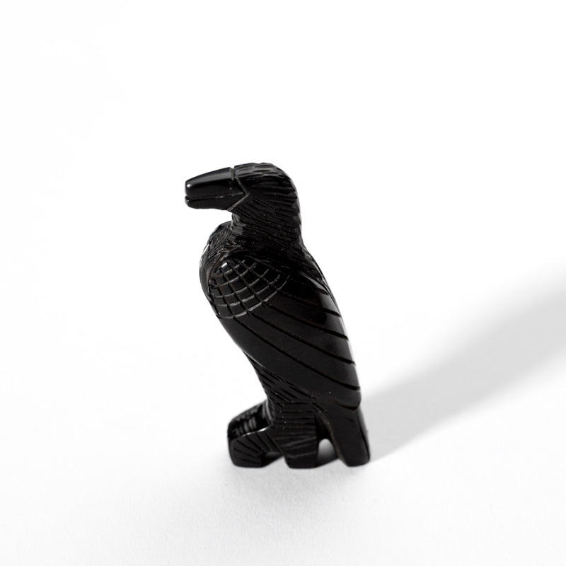 Fitz Kiyite & Marlo Booqua: Black Jet, Raven