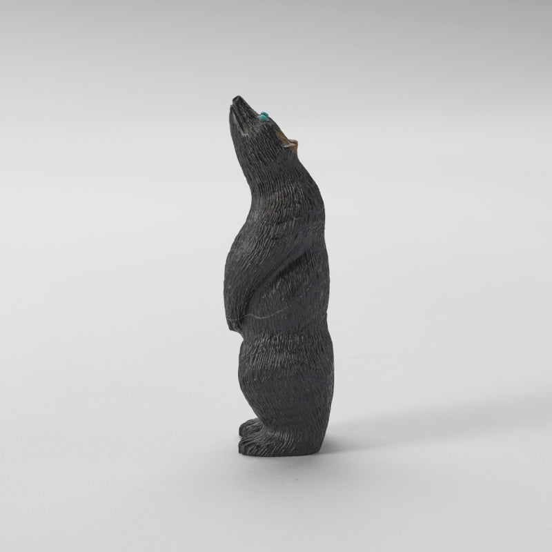 Chris Waatsa (d): Black Marble, Standing Bear