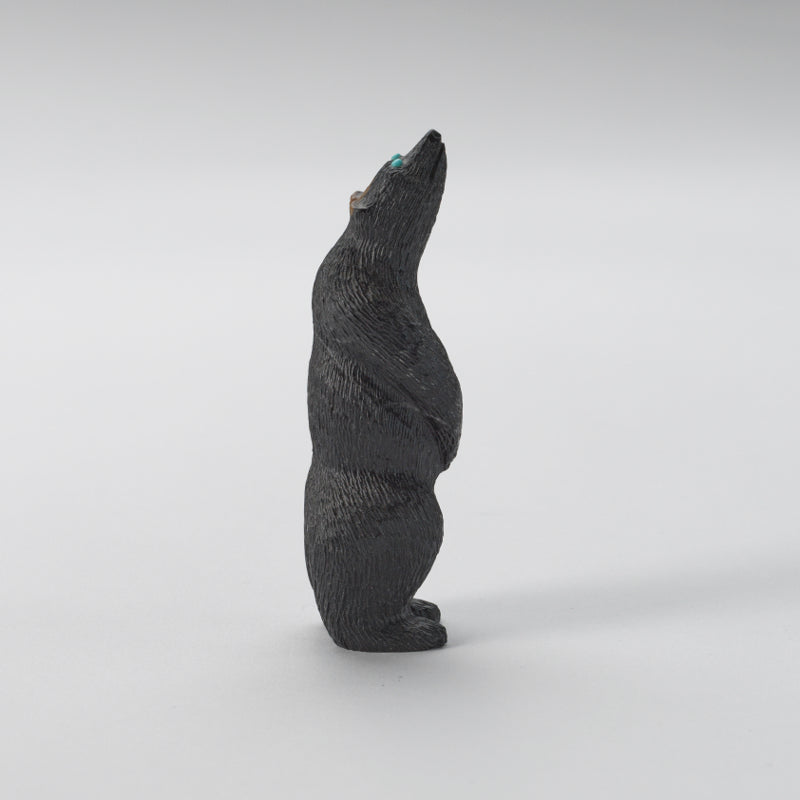 Chris Waatsa (d): Black Marble, Standing Bear