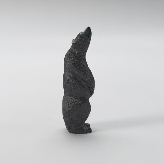Chris Waatsa (d): Black Marble, Standing Bear