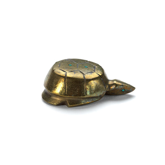 Kenny Chavez: Pyrite, Turtle