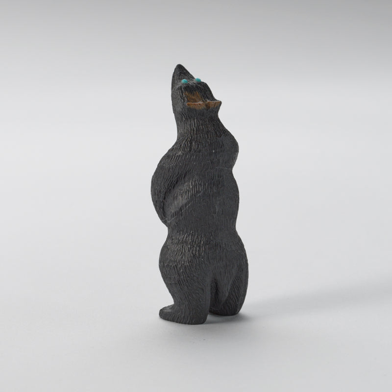 Chris Waatsa (d): Black Marble, Standing Bear