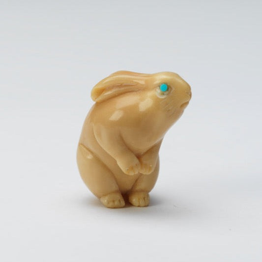 Alfred Lamy (d): Tauga Nut, Rabbit