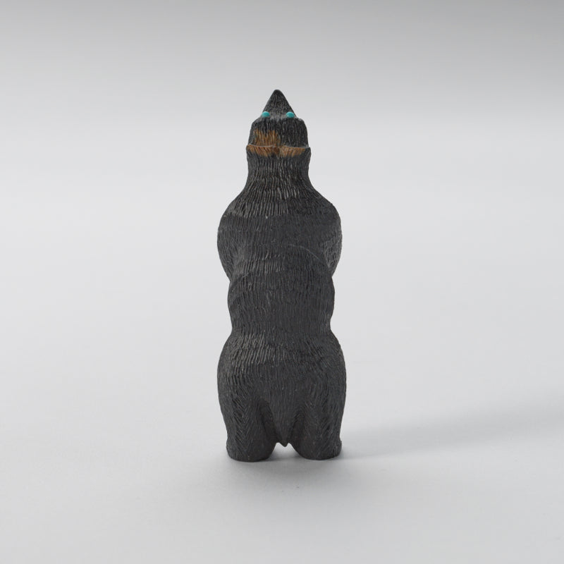 Chris Waatsa (d): Black Marble, Standing Bear