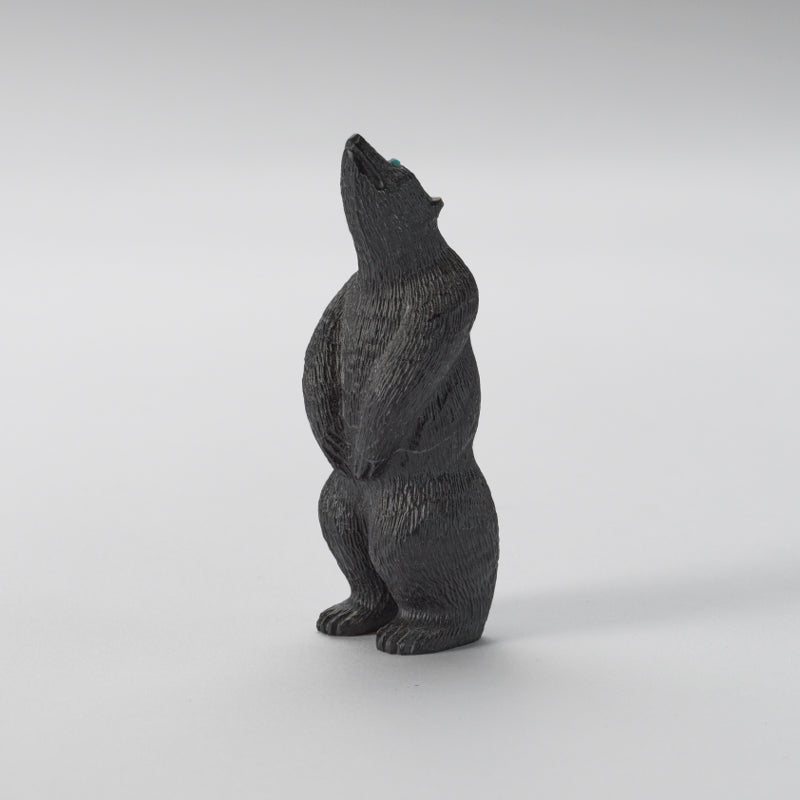 Chris Waatsa (d): Black Marble, Standing Bear