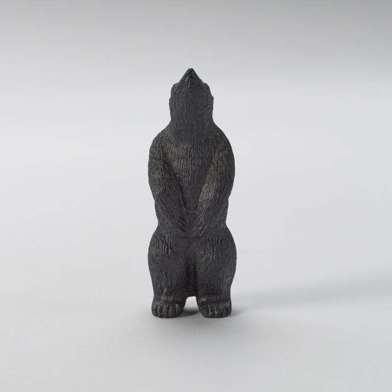 Chris Waatsa (d): Black Marble, Standing Bear