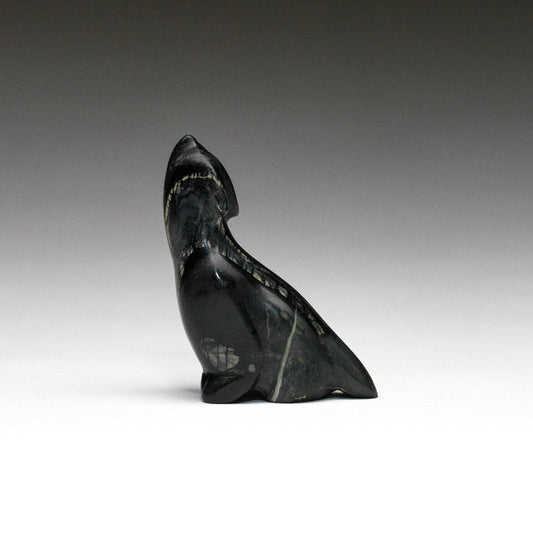 Melvin Sandoval: Picasso Marble, Coyote