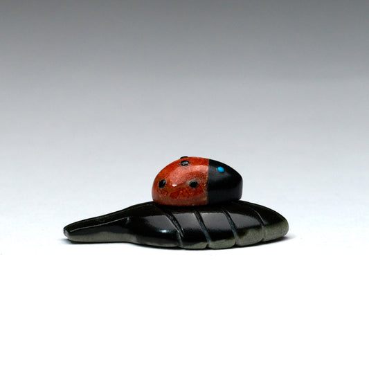 Georgette Quam: Apple coral And Black Jet, Ladybug