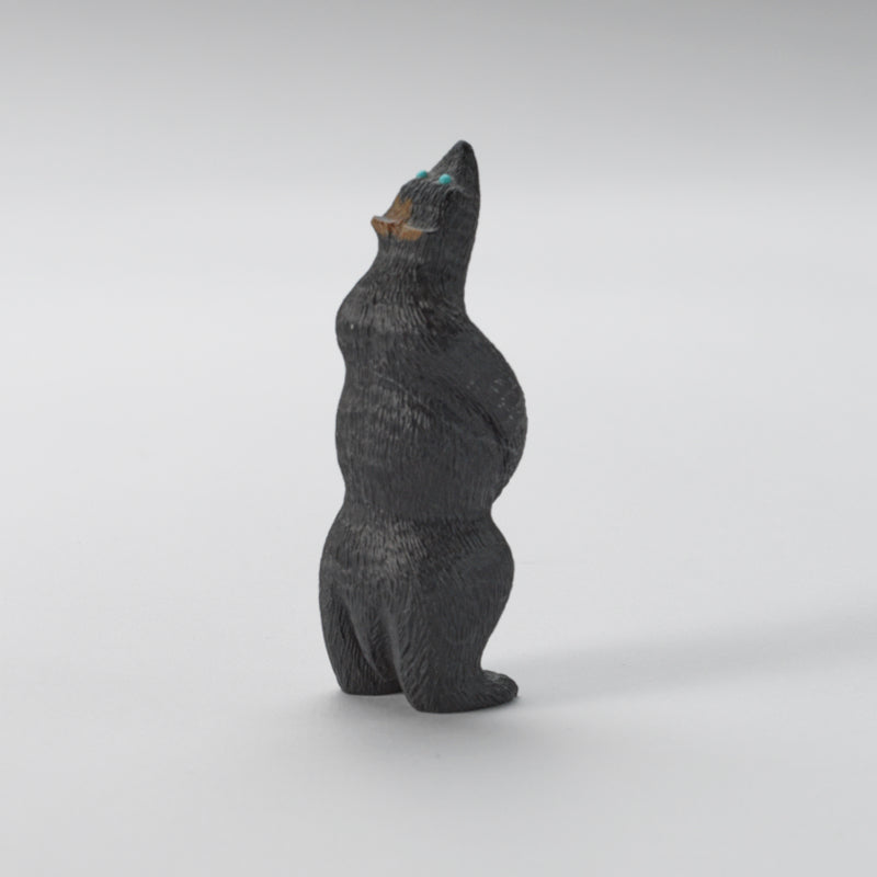 Chris Waatsa (d): Black Marble, Standing Bear