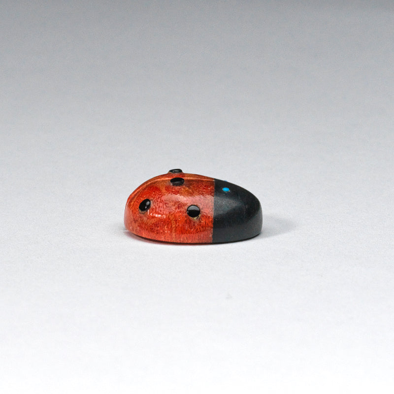 Georgette Quam:  Apple coral, Ladybug