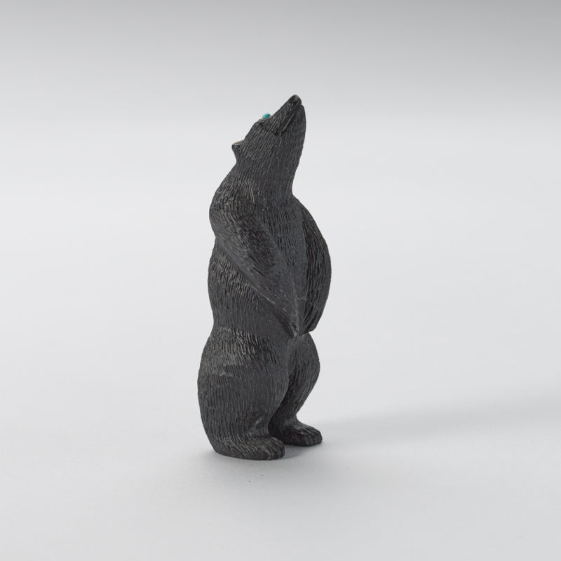 Chris Waatsa (d): Black Marble, Standing Bear