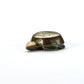 Kenny Chavez: Pyrite, Turtle