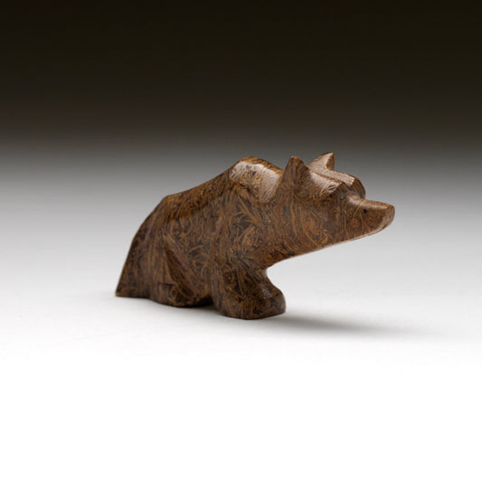 Kenny Chavez: Mariam Jasper, Coyote